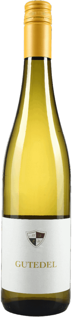 Martin Waßmer, Gutedel Baden, Markgräflerland